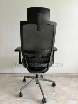 Premium Ergonomic Mesh Chair X701
