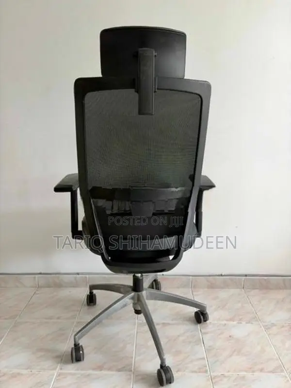 Premium Ergonomic Mesh Chair X701