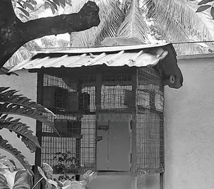 Pigeon Cage