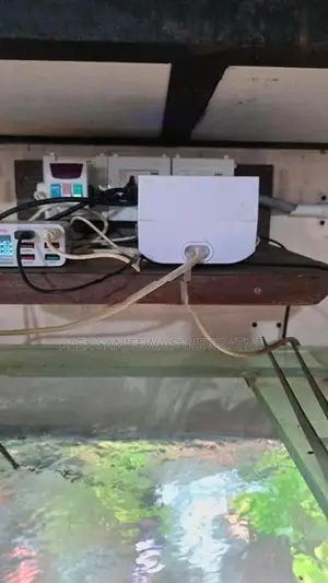 12 Mm Fish Tank Planted