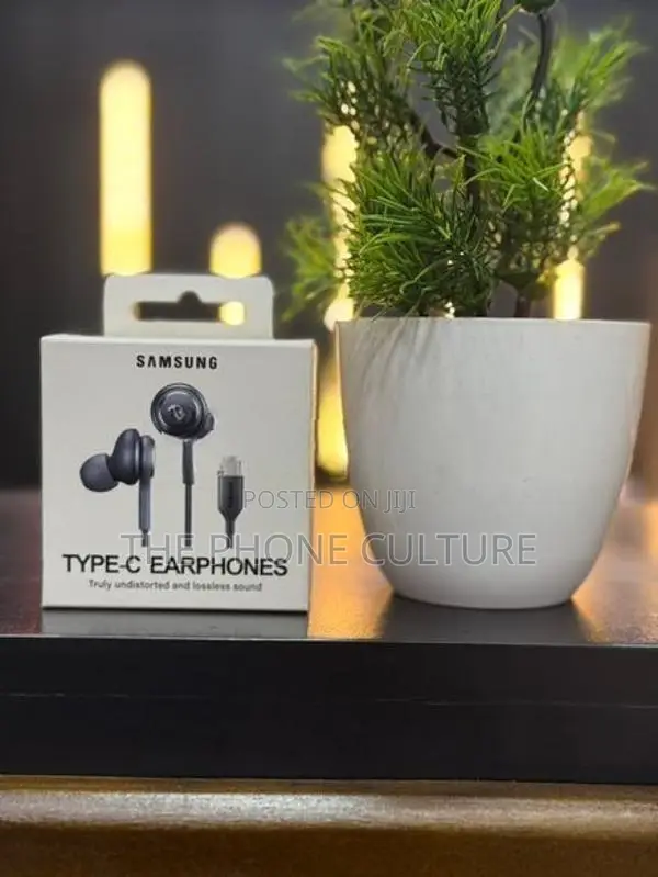 Samsung AKG Type C Earphone