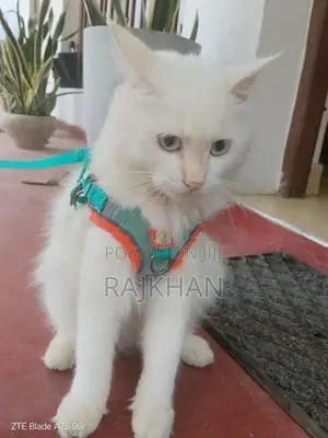 Persian