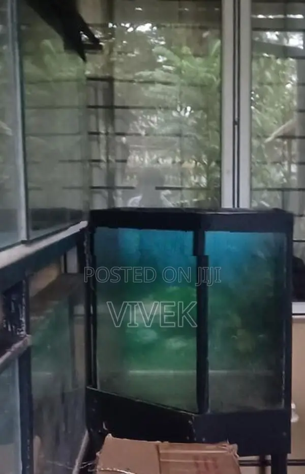 Aquarium Tanks