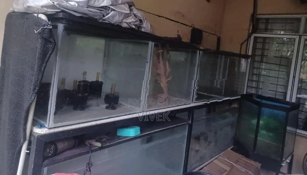 Aquarium Tanks