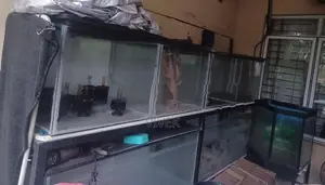 Aquarium Tanks