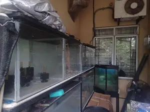 Aquarium Tanks