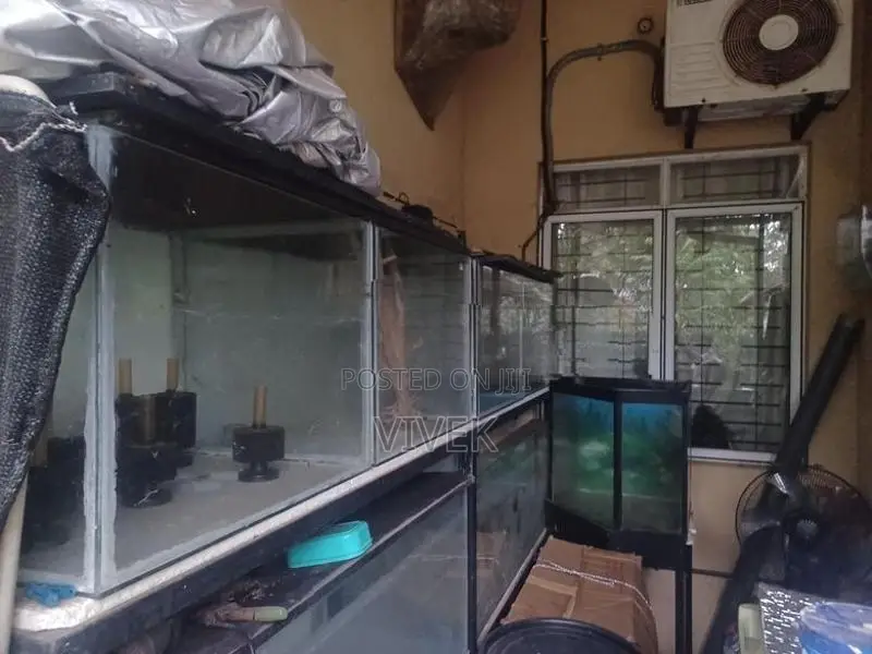Aquarium Tanks