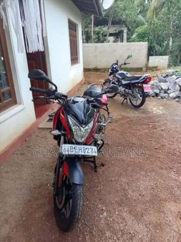 Bajaj Pulsar NS150 2016 Motorbike (Used)