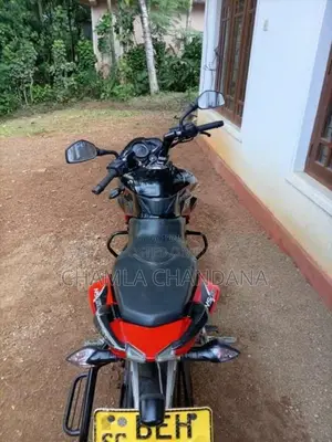 Bajaj Pulsar NS150 2016 Motorbike (Used)