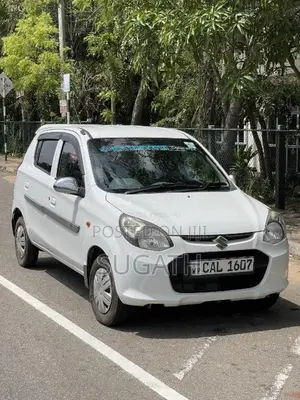 Suzuki Alto 2015 Car (Used)