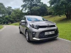 Kia Picanto 2017 Car (Used)