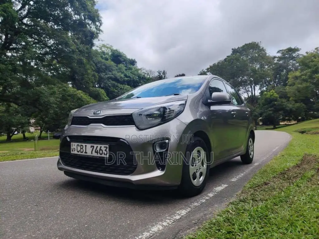 Kia Picanto 2017 Car (Used)