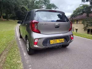 Kia Picanto 2017 Car (Used)