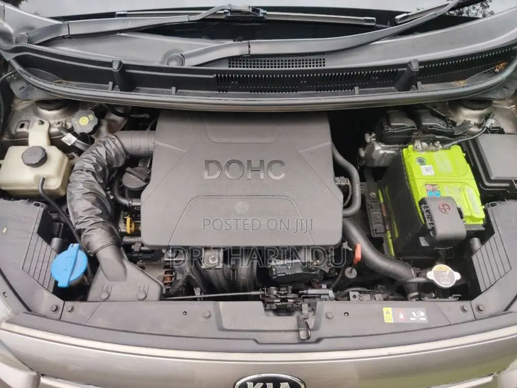 Kia Picanto 2017 Car (Used)