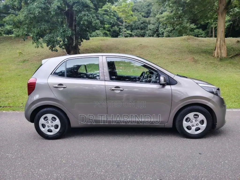 Kia Picanto 2017 Car (Used)