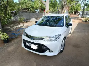 Toyota Axio Hybrid 2016 Car (Used)