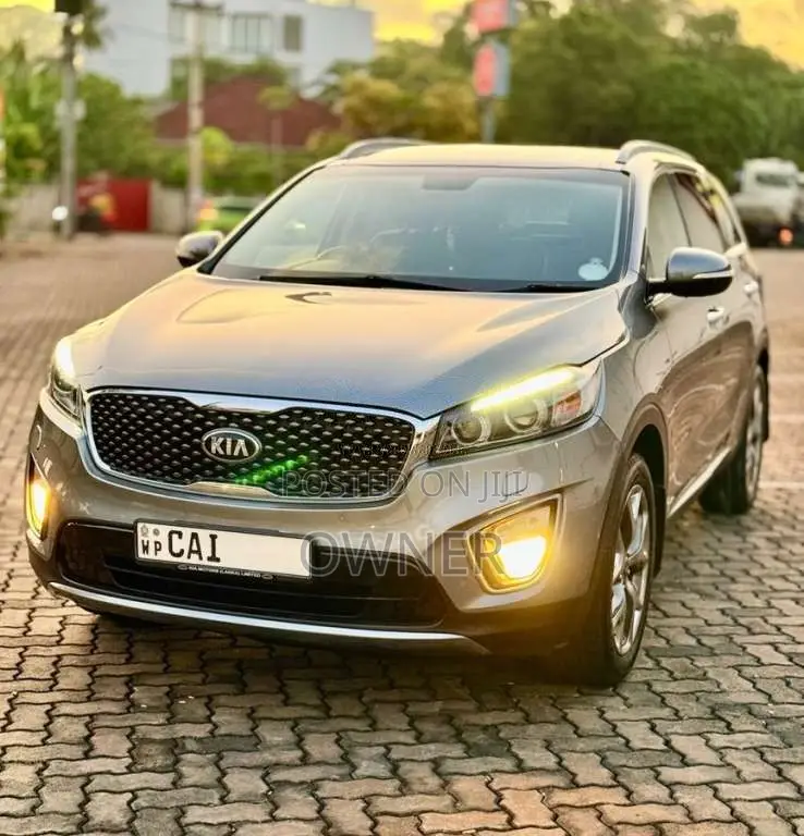 Kia Sorento 1-24 2015 SUV (Used)