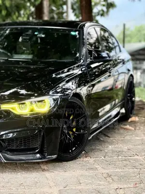 BMW 318i 2016 Car (Used)