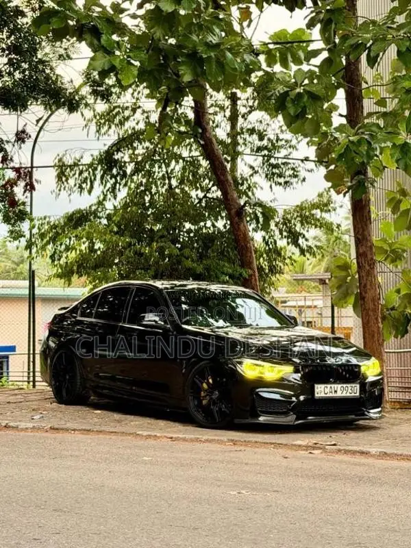 BMW 318i 2016 Car (Used)