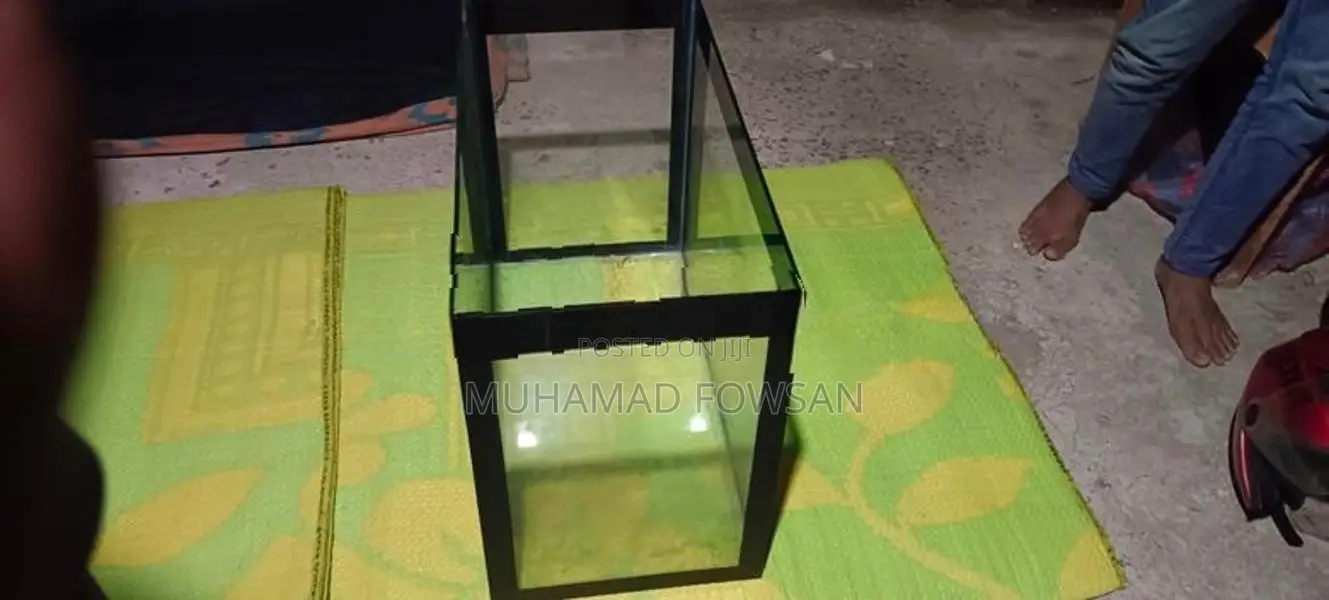 New Fish Tank 1 ½ × 2