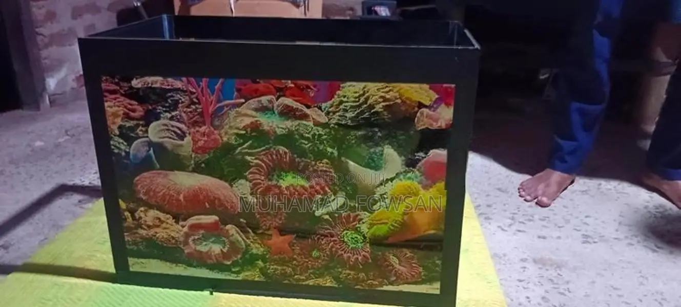 New Fish Tank 1 ½ × 2