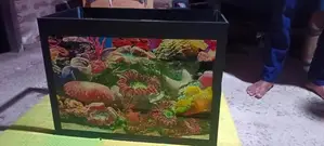 New Fish Tank 1 ½ × 2