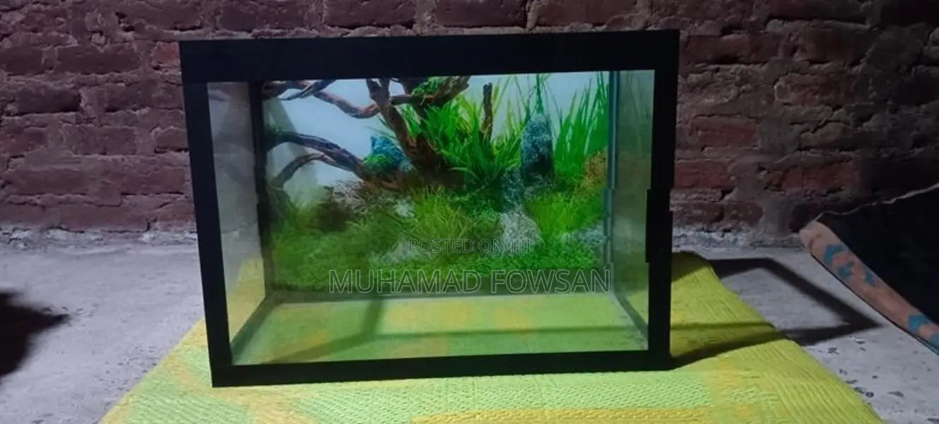 New Fish Tank 1 ½ × 2