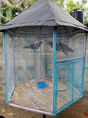 Bird Cage