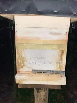 මී මැසි ජනපදය සමග පෙට්ටිය