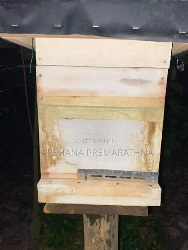 මී මැසි ජනපදය සමග පෙට්ටිය