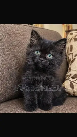 Persian