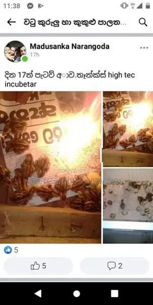 බිත්තර රක්කවන යන්ත්‍ර Egg Incubators