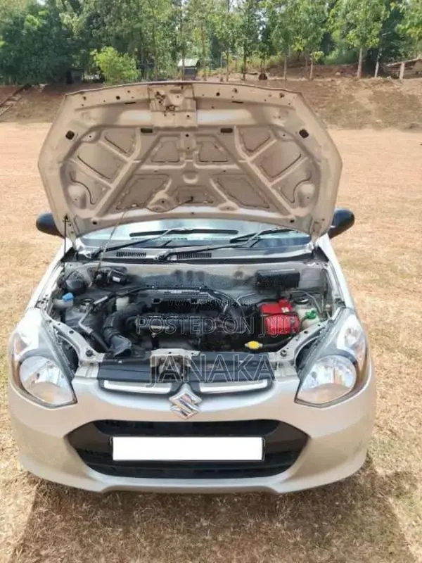 Suzuki Alto 2015 Car (Used)
