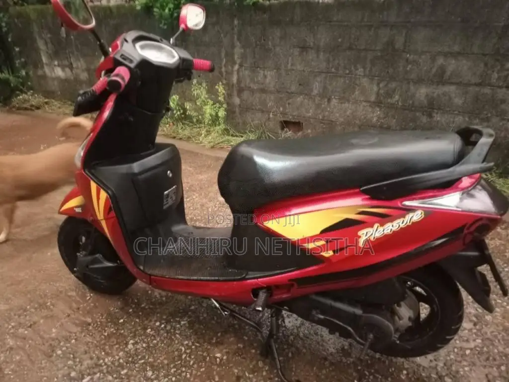 Hero Pleasure 2017 Motorbike (Used)