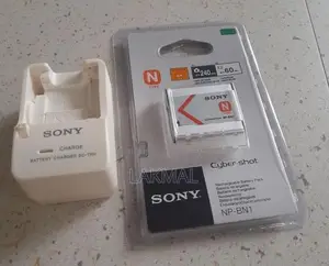Sony N Type Battery