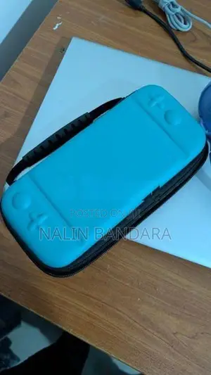 Turquoise Nintendo Switch Lite With Animal Crossing