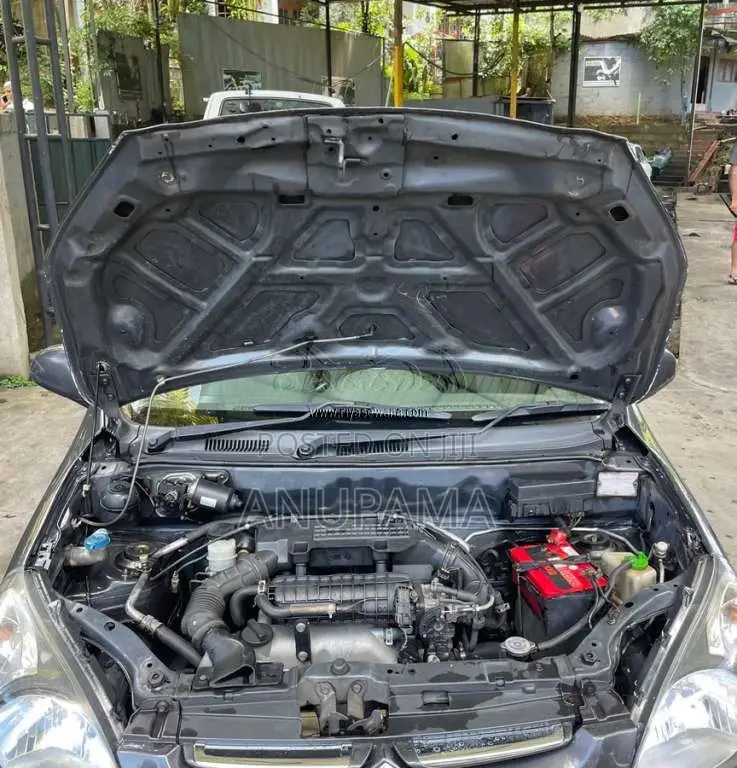 Suzuki Alto 2015 Car (Used)