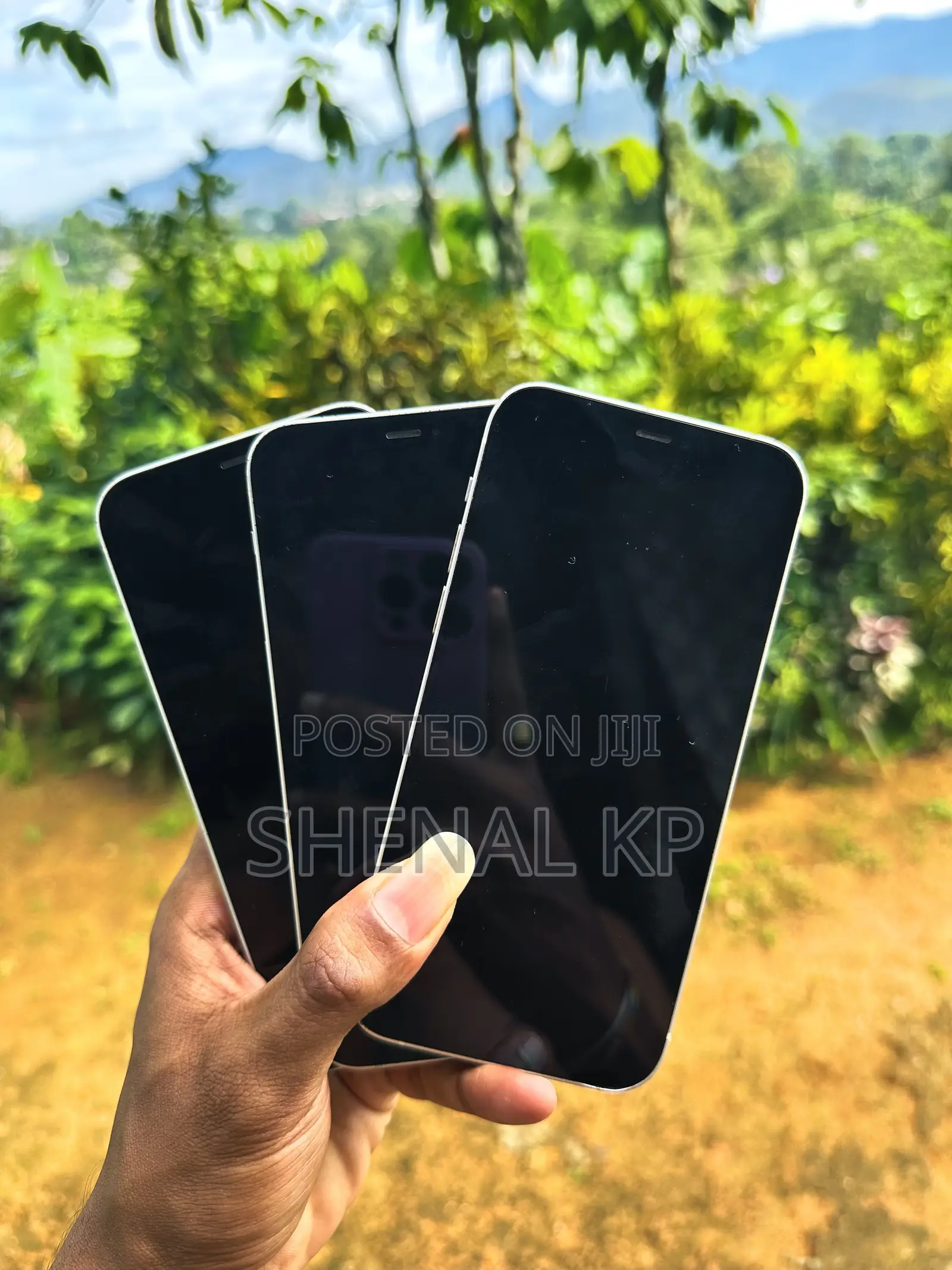Apple iPhone 12 128 GB White