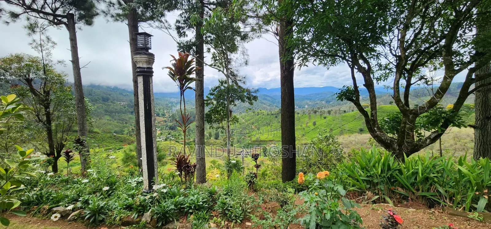 Bangalow for Sale in Haputale