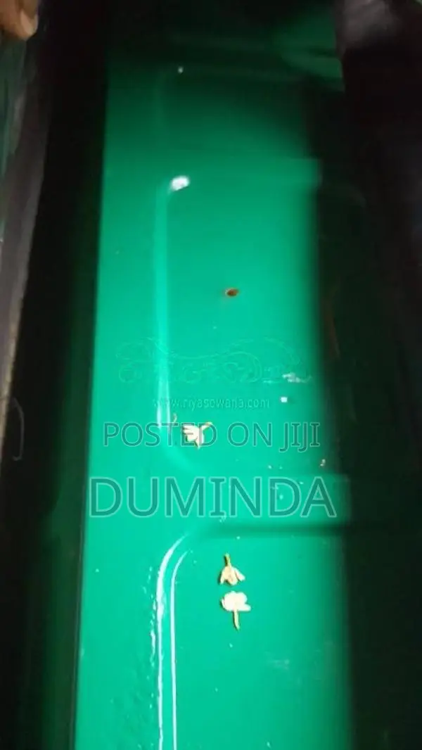 Bajaj 4 stroke 2018 Three Wheel (Used)