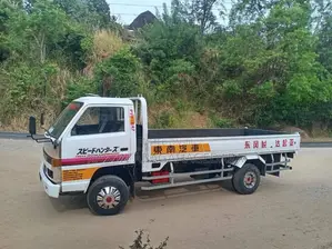 Isuzu NpR 1988 Lorry (Used)