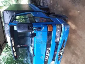 Isuzu ELF 1980 Lorry (Used)