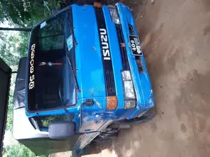 Isuzu ELF 1980 Lorry (Used)