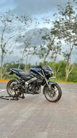Bajaj Ns200 Bs7 2025 Motorbike (Used)