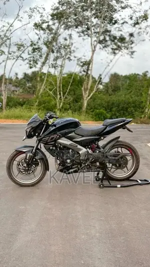 Bajaj Ns200 Bs7 2025 Motorbike (Used)