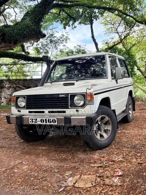 Mitsubishi Pajero 1983 SUV (Used)
