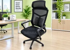 IMPANA PRIMUM GRADE HB OFFICE MESH CHAIR nylon base