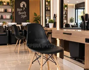 barisata chair /saloon /studio chairs