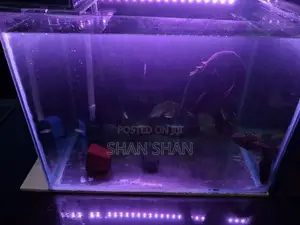 Aquarium Tank