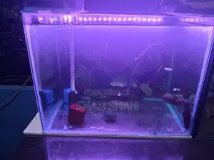 Aquarium Tank